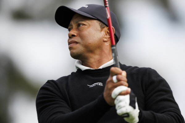 Tiger woods 2025 baseball cap